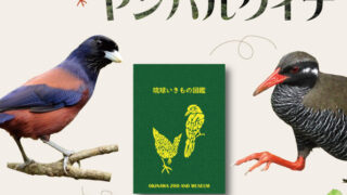 奄美博物館×沖縄こどもの国　鳥類ワークショップ